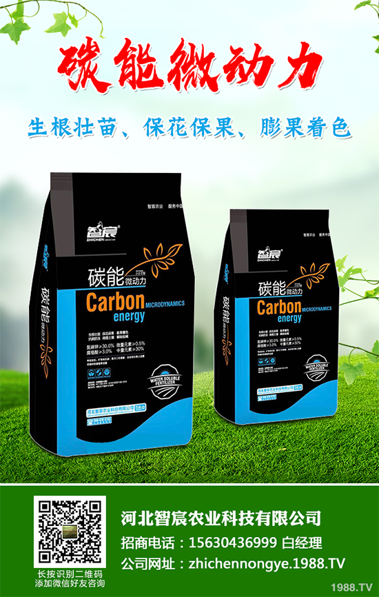 冬季大棚蔬菜種植該注意什么？切記別進(jìn)這六大誤區(qū)