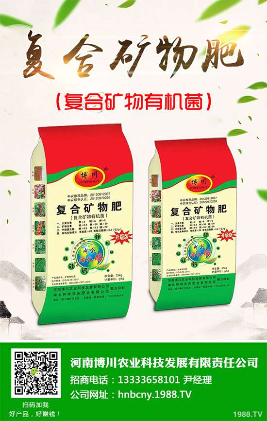 鹽堿地能種植棉花嗎?鹽堿地植棉高產技術