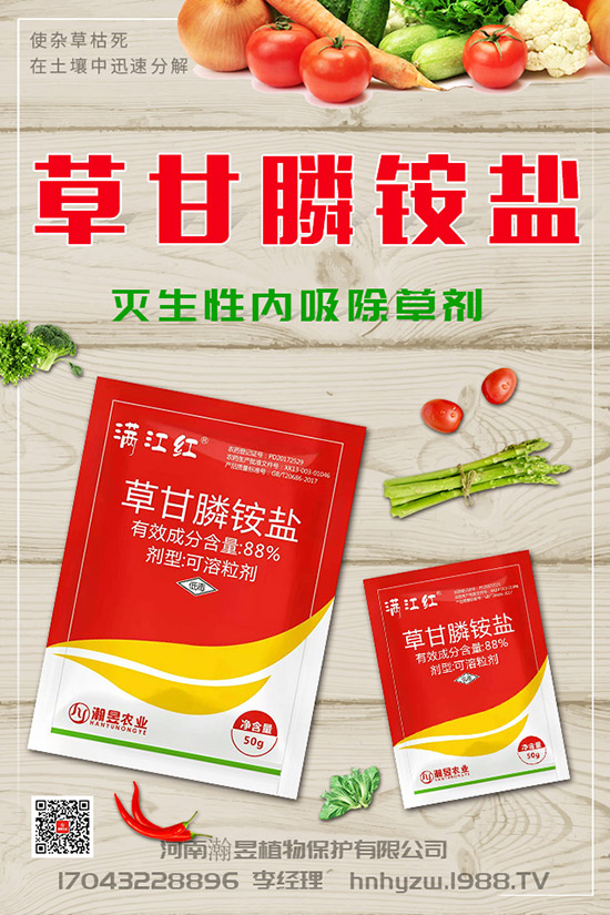 草莓根腐病得了根腐病咋辦？草莓根腐病發(fā)生條件、發(fā)病發(fā)癥狀及防治！