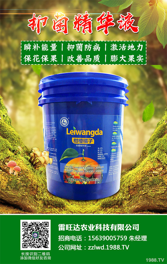 2020年種植水稻能掙錢嗎?2020年水稻種植前景