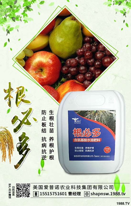 茄子怎么管理才能高產(chǎn)？茄子高產(chǎn)七大管理措施