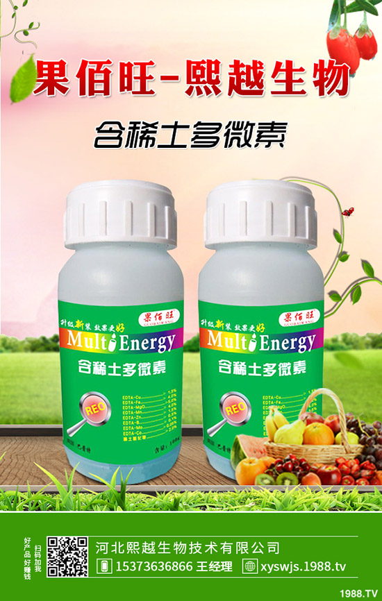 萵筍什么時(shí)候種植，萵筍種植要點(diǎn)有哪些？