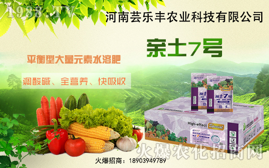 �����|��(l��)�S�ɹ����v1988.TV���_(k��i)���r(n��ng)�Y�N����������