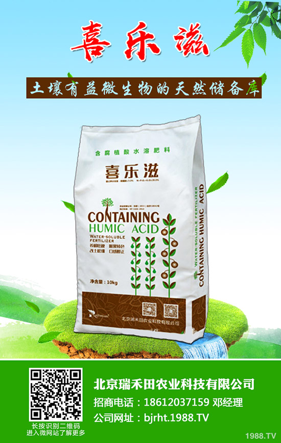 豆角葉片發(fā)黃是怎么回事，豆角葉片發(fā)黃怎么防治？