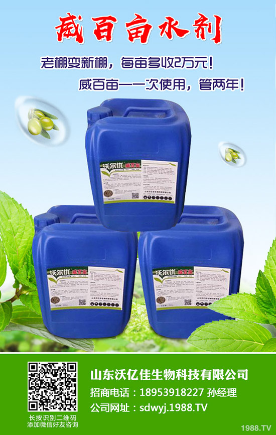 甜瓜什么時候種植？甜瓜怎么種植能高產(chǎn)？