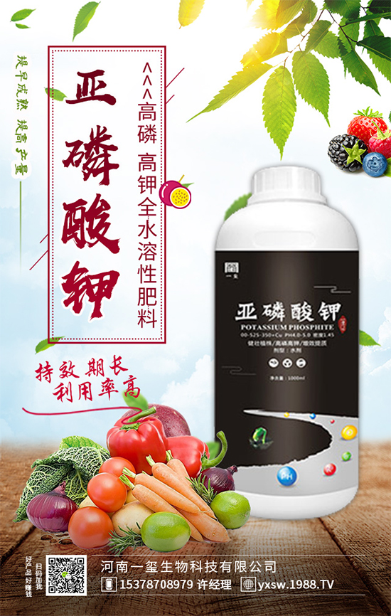 櫻桃樹為什么不結(jié)果？櫻桃樹不結(jié)果實的的解決方案！