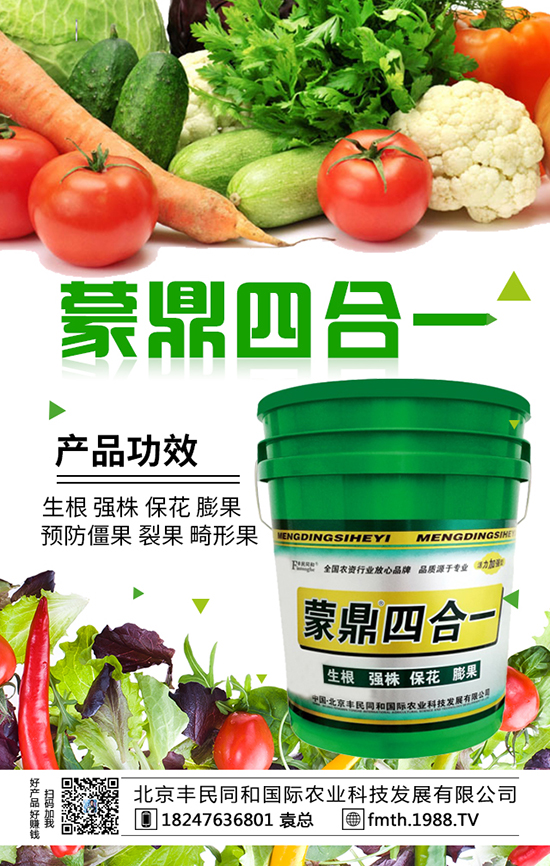 北京豐民同和國際農業(yè)科技發(fā)展有限公司1