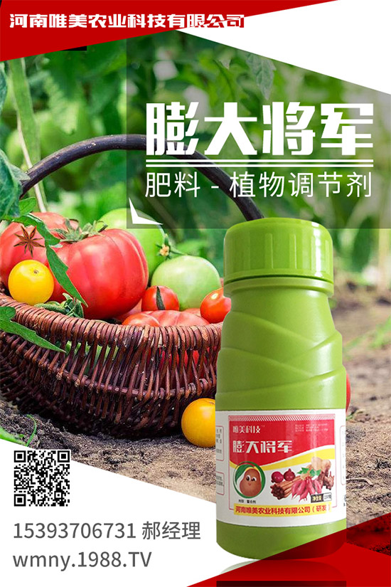 吃西柚有什么好處？挑選西柚的小技巧！