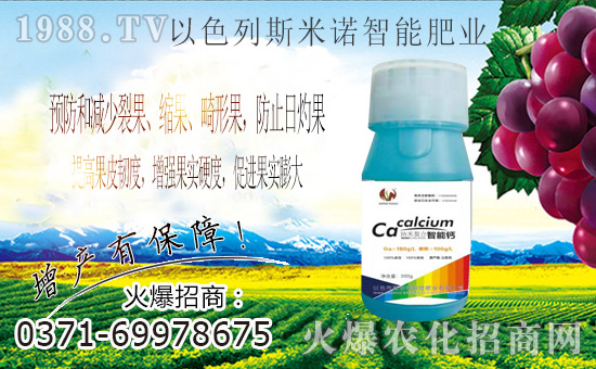 ��ɫ��˹���Z�ɹ����v�r(n��ng)���W(w��ng)���M(j��n)܊�W(w��ng)�j(lu��)�������I(l��ng)��