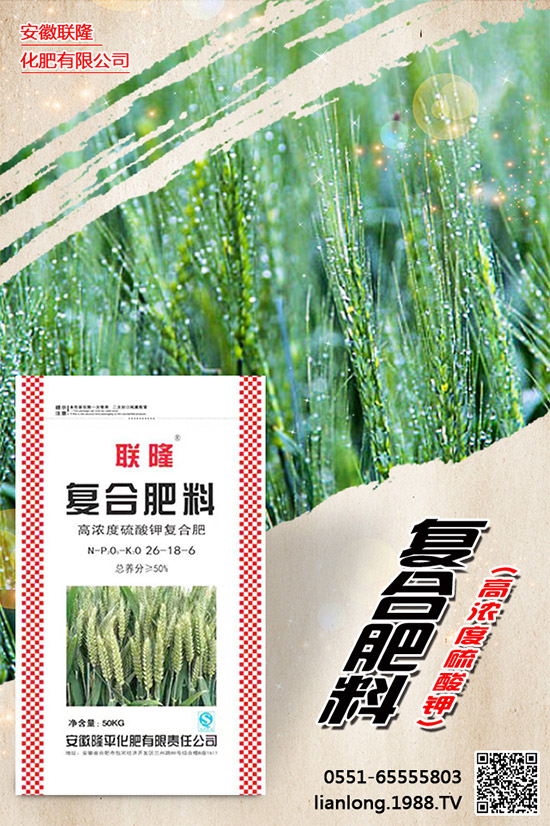 ���r(n��ng)���W(w��ng)ϲӭ�����ѣ��y�ְ���(li��n)¡����ؔ��֮·��