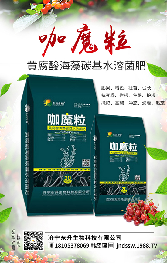 大棚草莓旺長的原因，大棚草莓旺長解決措施