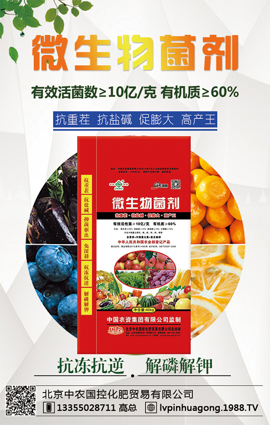 �������r(n��ng)�ٶȔy��1988.TV���y���ل�(chu��ng)���x����