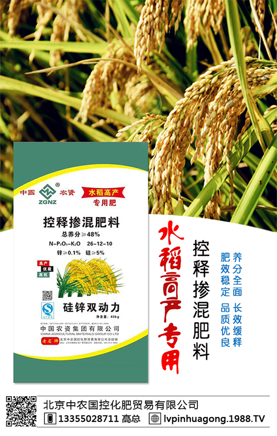 �������r(n��ng)�ٶȔy��1988.TV���y���ل�(chu��ng)���x����