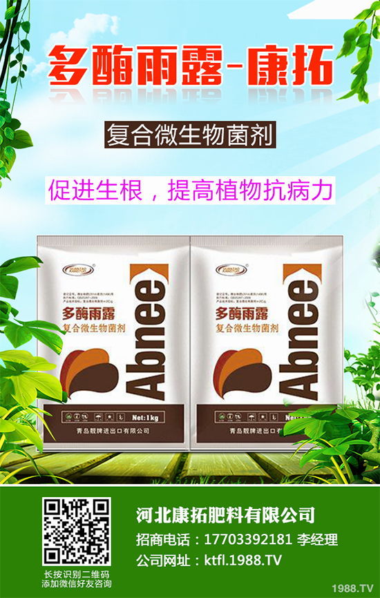 11月份農(nóng)事安排有哪些？2019秋冬蔬菜種植指南