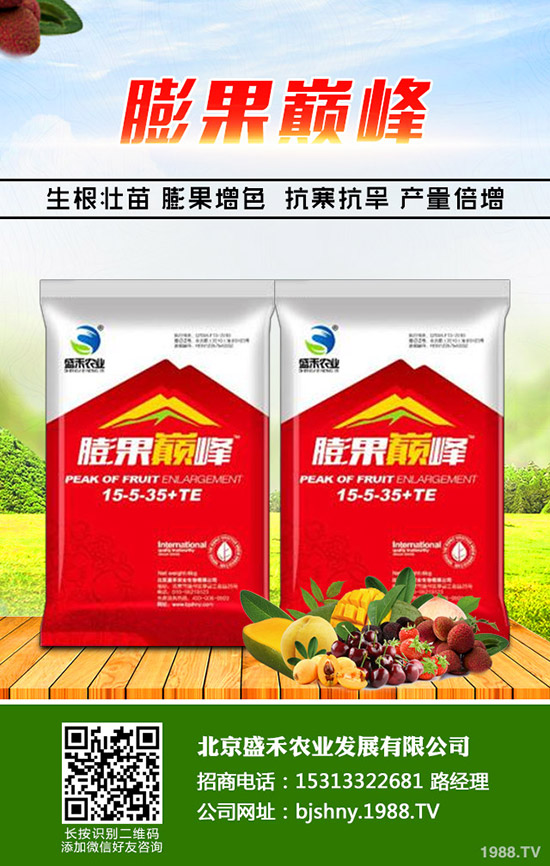 冬季大棚番茄空心果是什么原因，怎樣避免番茄空心果發(fā)生？