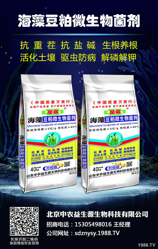 2020年水稻種植怎么樣？賺錢嗎？包多少畝合適？一畝種植成本多少？