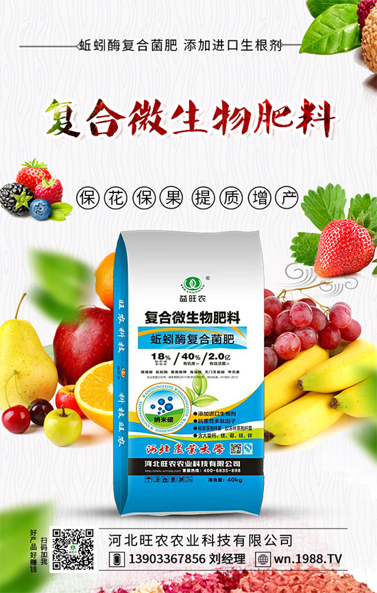 番茄卷葉發(fā)生原因，番茄卷葉防控措施！