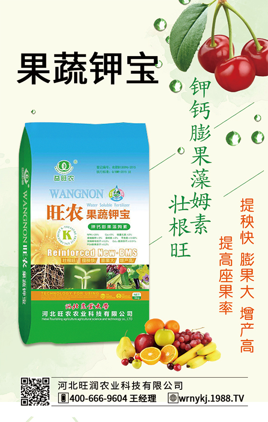 �����P(gu��n)ϵ�����A���ӱ����r(n��ng)�c1988.TV�_����ƪ����