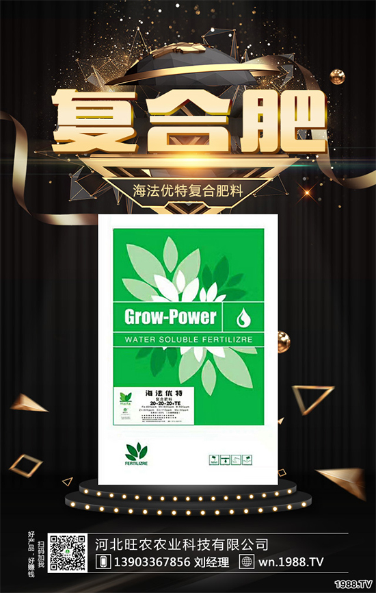 �����P(gu��n)ϵ�����A���ӱ����r(n��ng)�c1988.TV�_����ƪ�£�