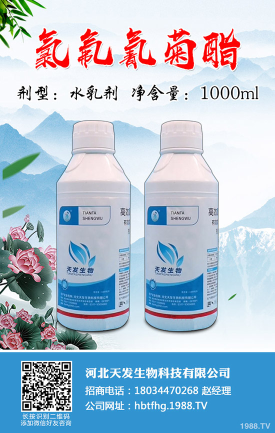 小麥吸漿蟲危害有多大？小麥吸漿蟲防控技術！