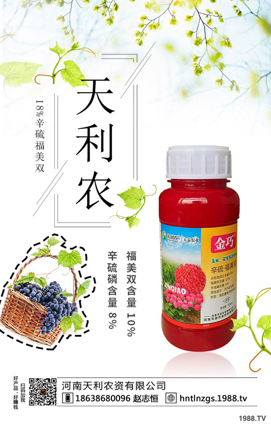 冬棗縮果病是咋回事？冬棗縮果病發(fā)病癥狀、原因和防治措施！