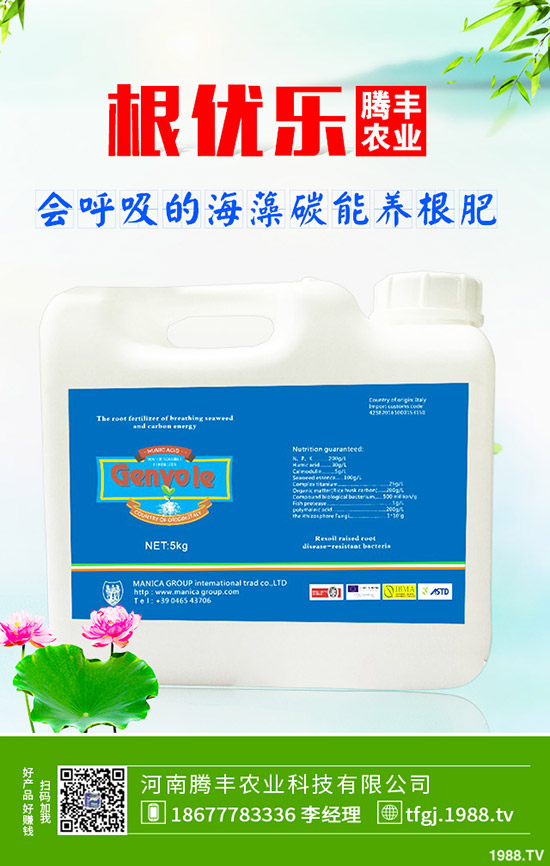 石榴褐斑病導(dǎo)致發(fā)黃落葉怎么辦？石榴褐斑病的防治要點(diǎn)！