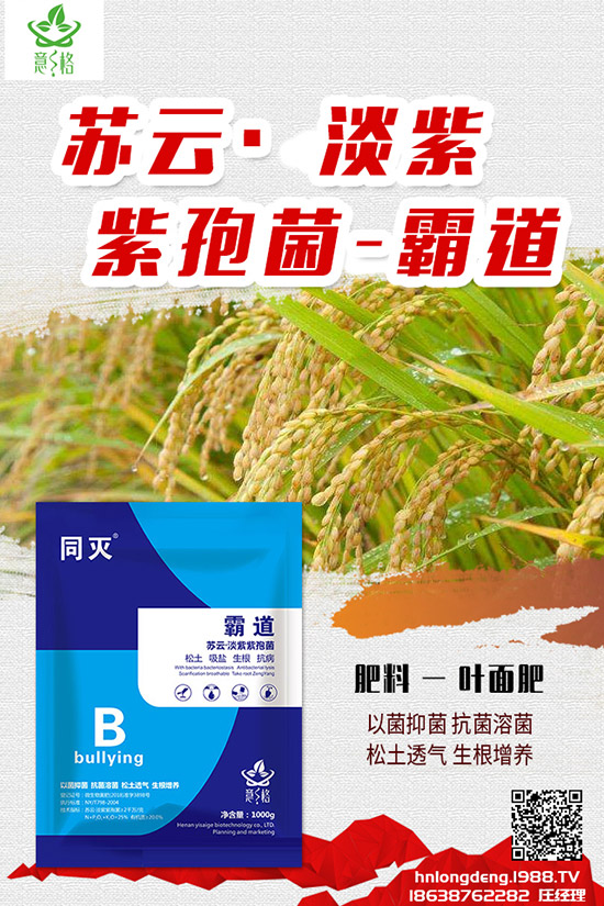 如何種植盆栽玫瑰，盆栽玫瑰的種植方法和注意事項(xiàng)！