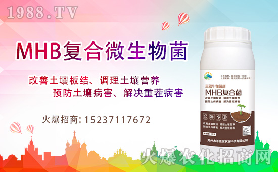 ����ľ�̼ь��׺�1988.TV���_���W(w��ng)�j(lu��)������ģʽ��