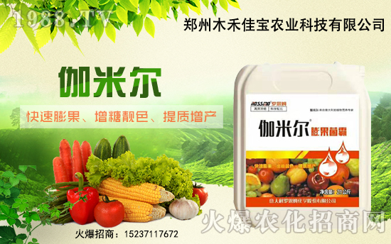 ����ľ�̼ь��׺�1988.TV���_���W(w��ng)�j(lu��)������ģʽ��