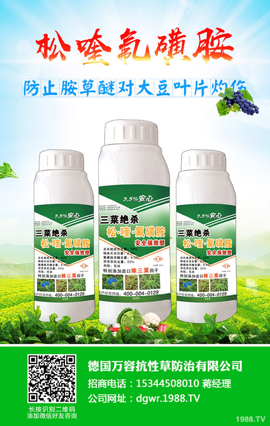 黃豆什么時間種植，黃豆的種植方法有哪些？