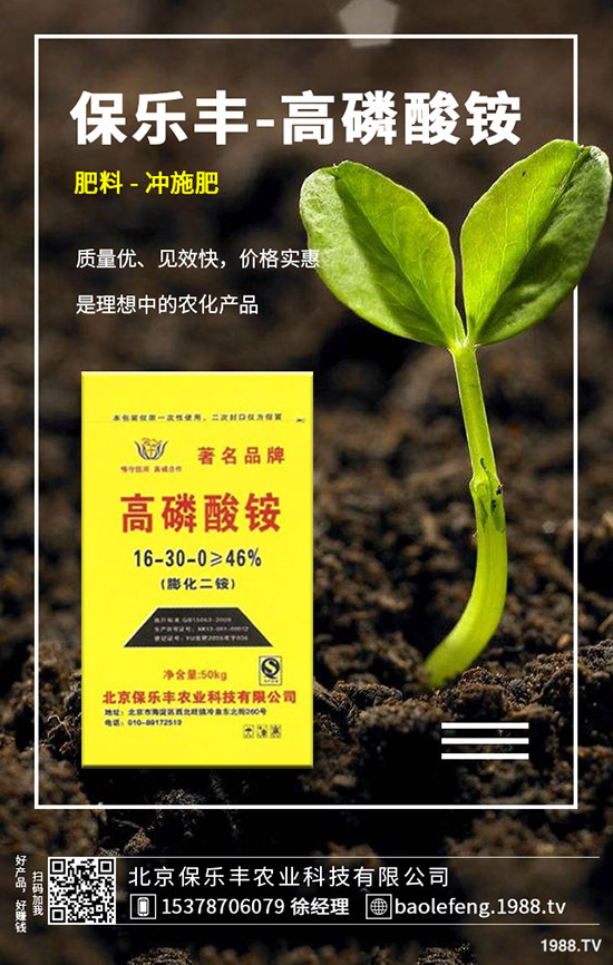 蘿卜病毒病發(fā)生規(guī)律有哪些？蘿卜病毒病防治要點！