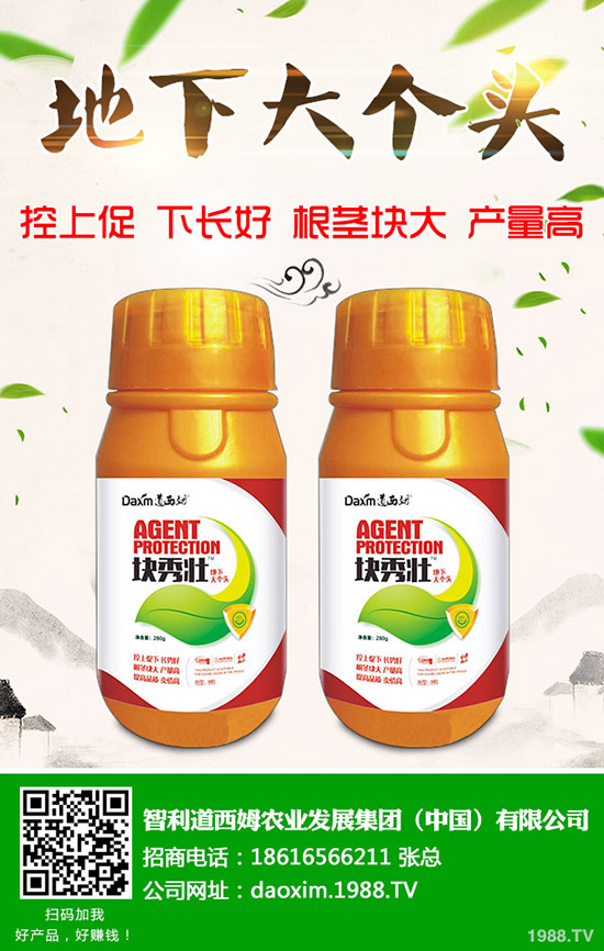 蘿卜得了炭疽病怎么辦？蘿卜炭疽病癥狀和防治方法！