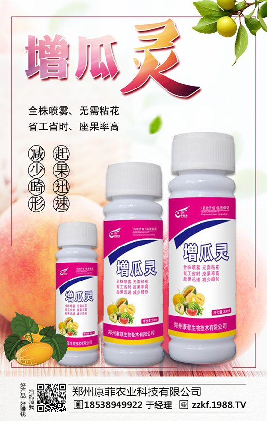 大棚南瓜怎么種植？大棚南瓜的種植中要點！