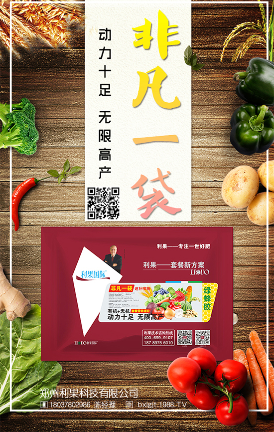 冬天大白菜如何儲(chǔ)存？冬季大白菜保鮮方法