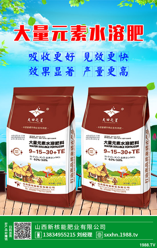 蒲公英種植盈利方式，一畝蒲公英經(jīng)濟(jì)效益怎樣？2020有種植前景么？