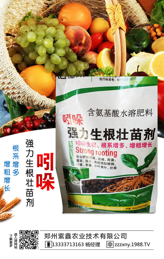 春芝麻種植時(shí)間是什么時(shí)候嗎？春芝麻種植管理技術(shù)！