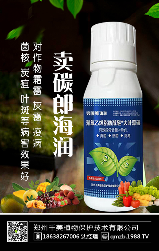 蘆筍什么季節(jié)種植？蘆筍常見病蟲害及防治！