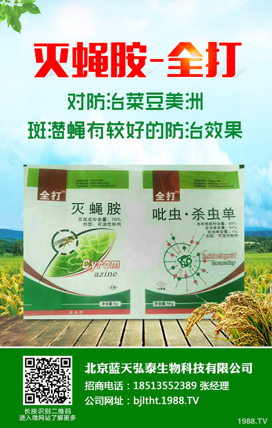 節(jié)瓜是冬瓜嗎？節(jié)瓜如何種植？掌握了這些不會白忙活！