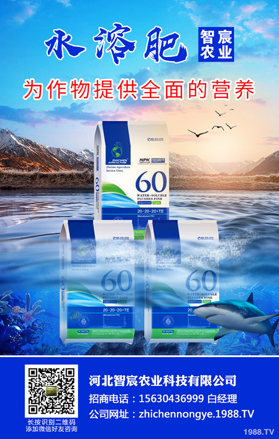 茄子僵果是什么原因造成的？茄子僵果如何防治？