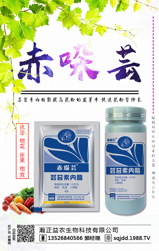 西紅柿為什么不膨果？西紅柿不膨果的防治方法