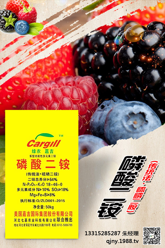 小茴香什么季節(jié)播種？有哪些種植技巧？