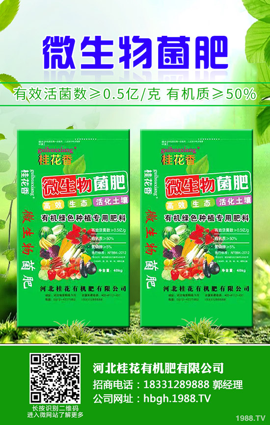 檳榔芋種植技術(shù)有哪些，檳榔芋的病蟲害防治