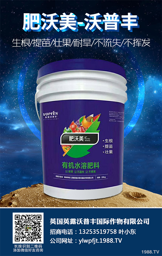 冬季能移植白皮松嗎？白皮松冬季移植攻略