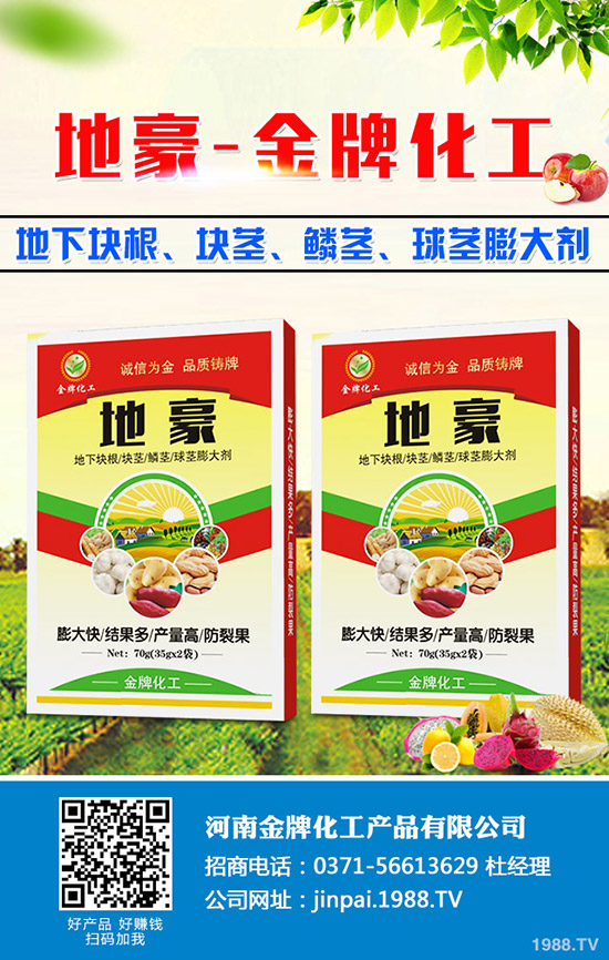 菠菜什么時(shí)候種更合適？菠菜種植技術(shù)和時(shí)間！