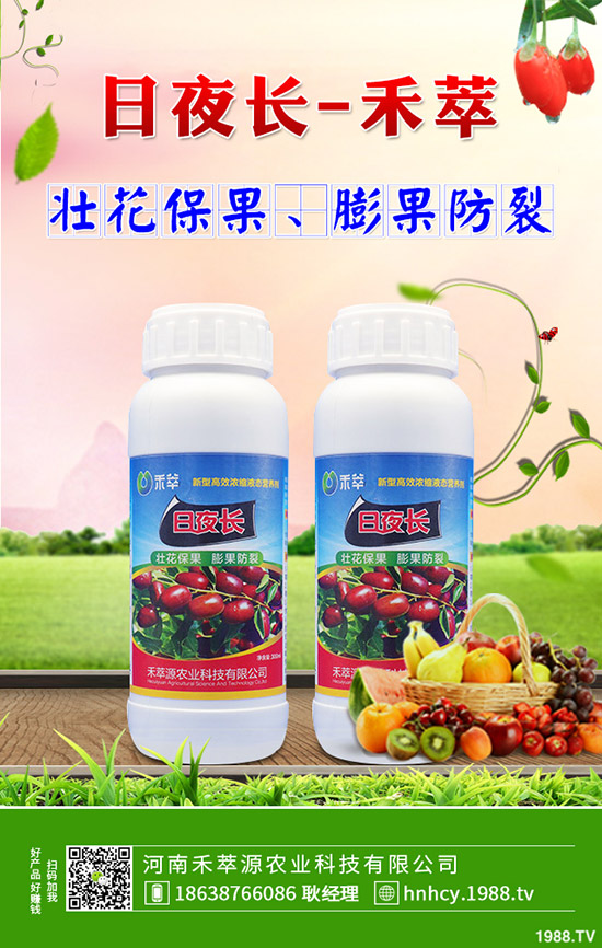 菠菜炭疽病的病因有哪些？菠菜炭疽病的防治要點！