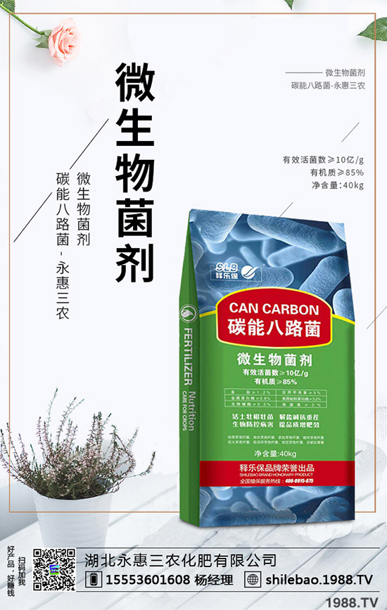     2020年野菜種植賺錢么？一畝能掙多少錢？種植效益如何？