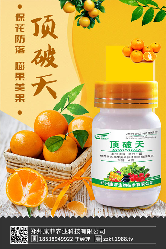 柑橘為什么會(huì)黃葉？柑橘黃葉的解決措施！