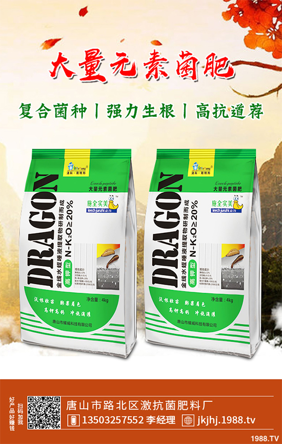 白皮松移栽后枯黃是咋回事？該怎么解決？快來(lái)看看吧