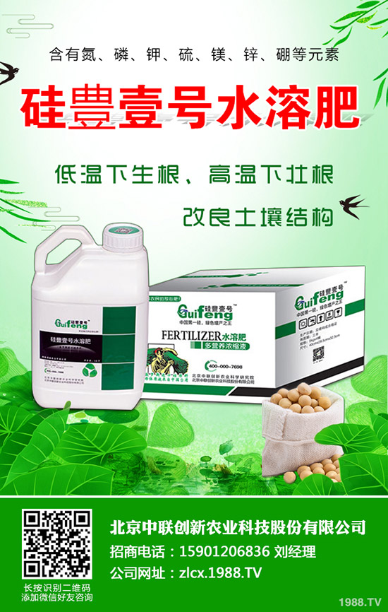 辣椒的種植要點(diǎn)有哪些，辣椒地膜覆蓋栽培技術(shù)！