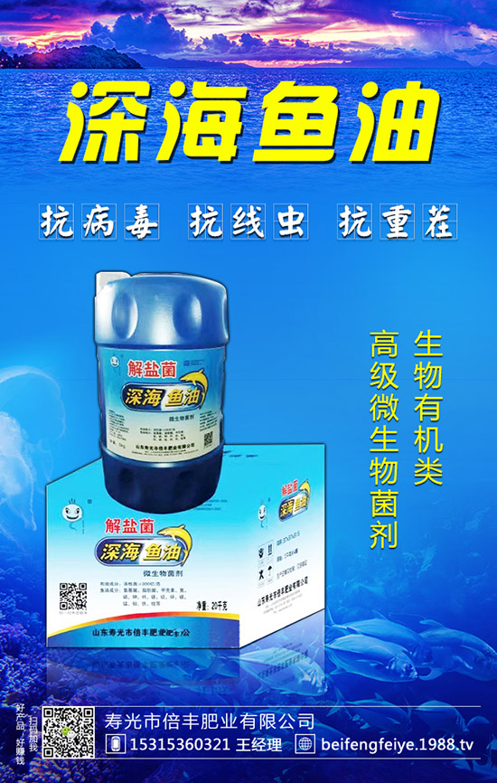 黑枸杞的種植方法，黑枸杞的種植前景